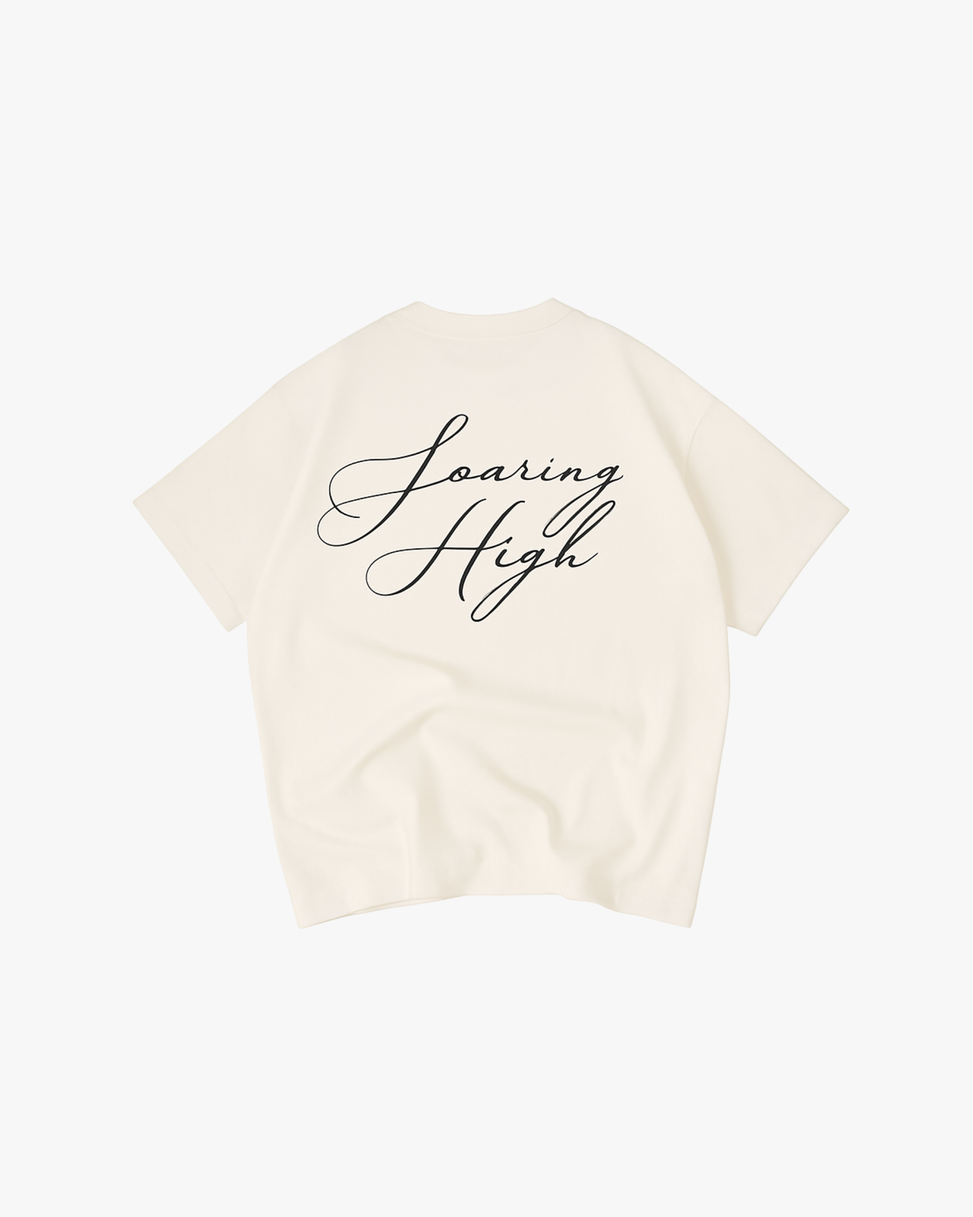 Falcon Graphic T-Shirt